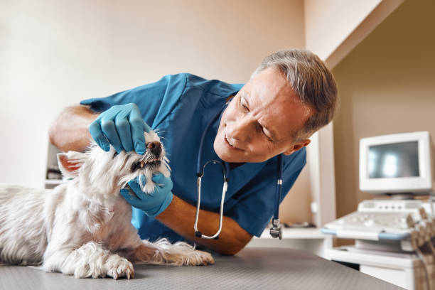 Best Emergency Tooth Extraction in Mead Valley, CA